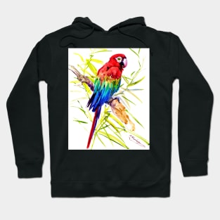 Scarlet Macaw Hoodie